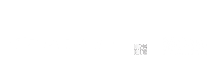safety stop dealers